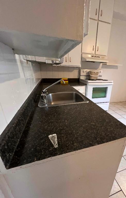 Petite-Italie / Little Italy - Appartement 2 à 3 Chambres au Rez-de-Chaussée à Louer – Jean Talon - La Petite-Patrie