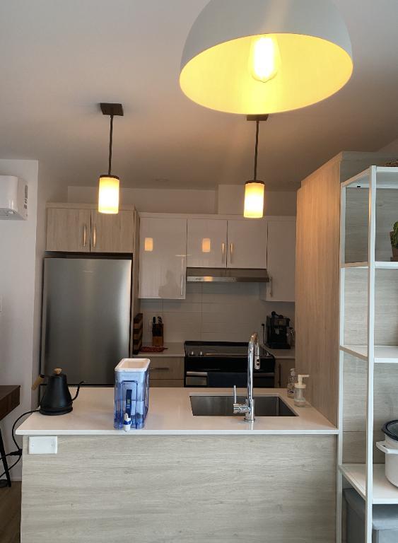 ✨ 3 ½ NEUF – Hochelaga – Animaux acceptés – 5 électros, wifi inclus – 1560$
