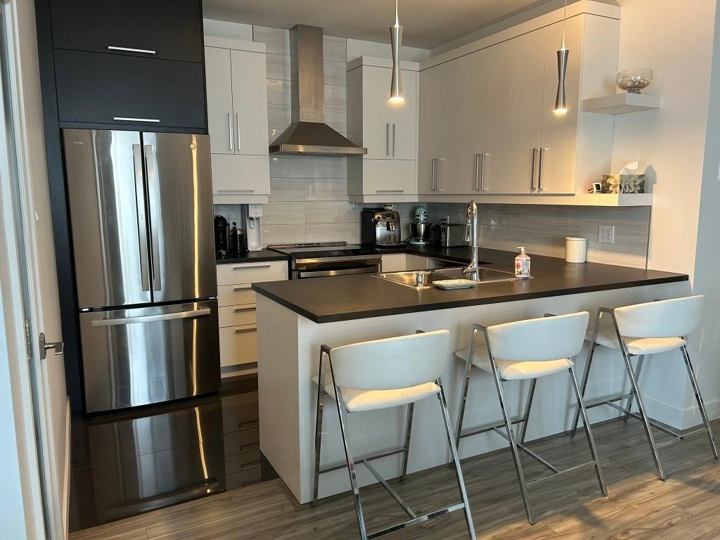 Magnifique condo, haut-de-gamme 5 1/2