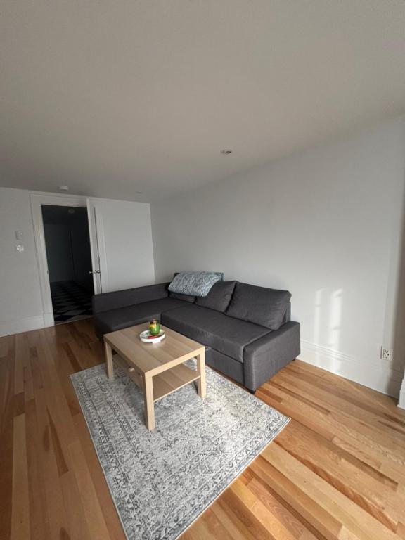 Fully renovated 5 1/2 rénové à coté du HEC/ UdeM/ Poly