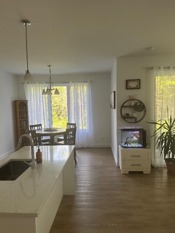 logement de luxe à louer