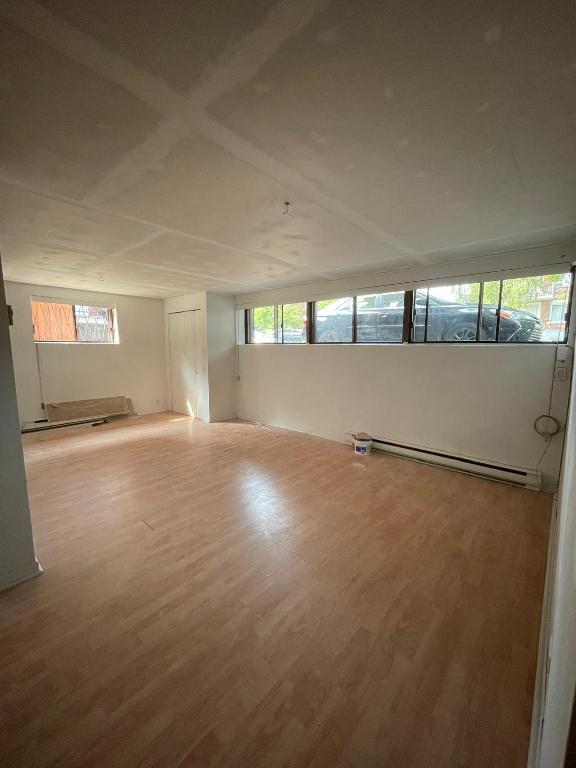 Grand sous-sol 4 1/2 (1350$)