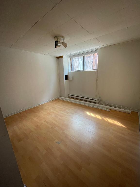 Grand sous-sol 4 1/2 (1350$)