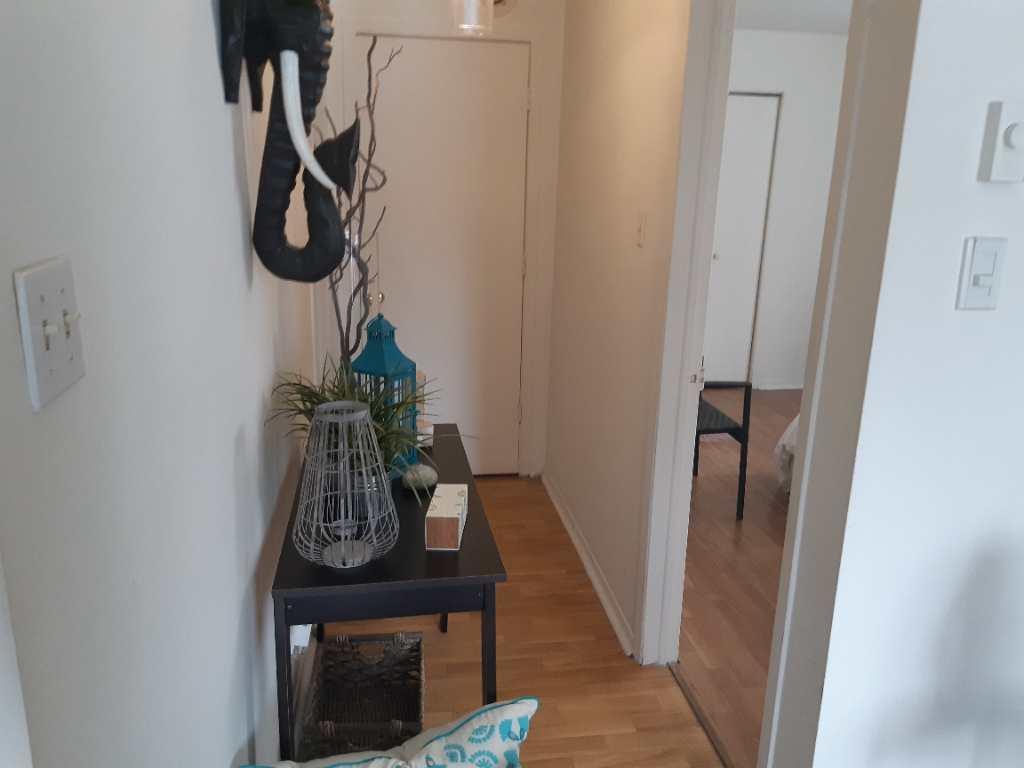 grand 3 1/2 Longueuil, disponible maintenant!