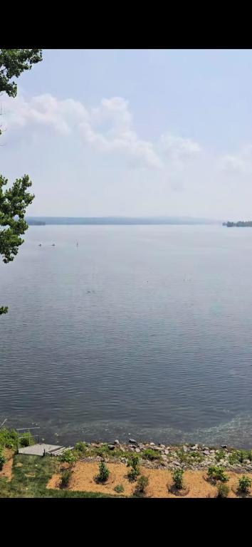 Magnifique 4 1/2 sur le bord de l'eau