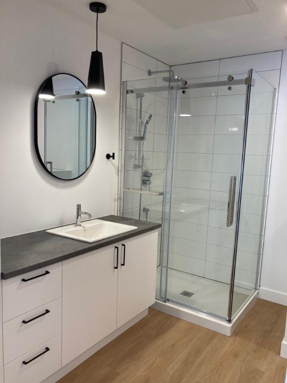 4 1/2 et 5 1/2 à louer St-Hyacinthe Libre immédiatement - Condo / appartment / logement