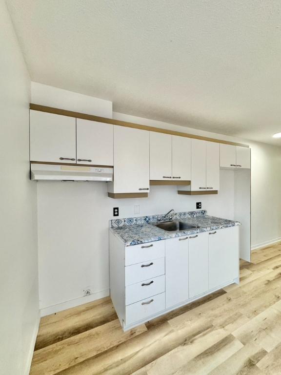 Beau 3.5 rénové à louer Granby