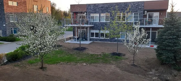 4 rooms apartment of 113m² in Sherbrooke