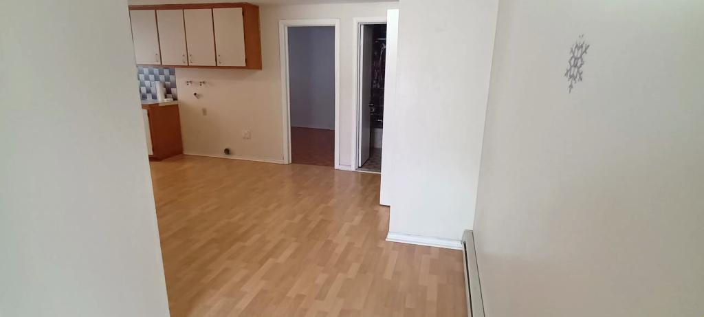 GRAND 3 1/2 AVEC PORTE PATIO DEMI SOUS-SOL LIBRE