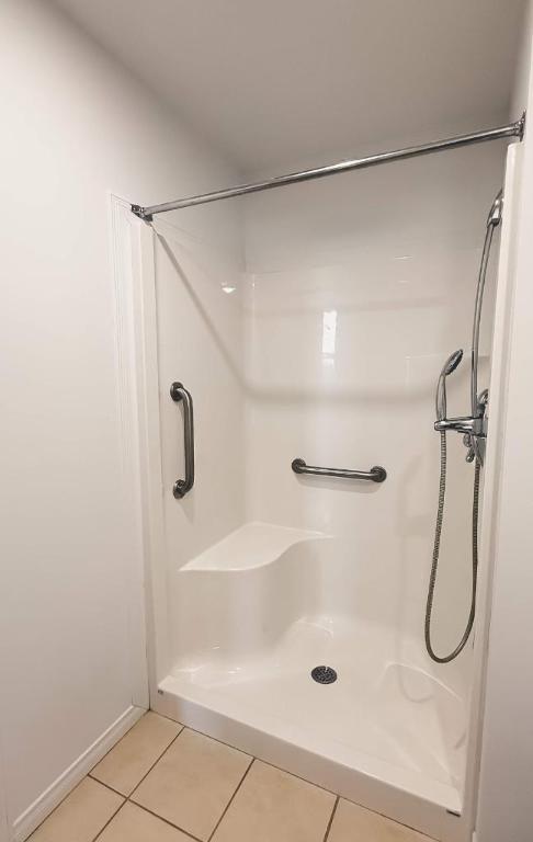 1 CH - 1 SDB - Montréal - $1,195 /mo