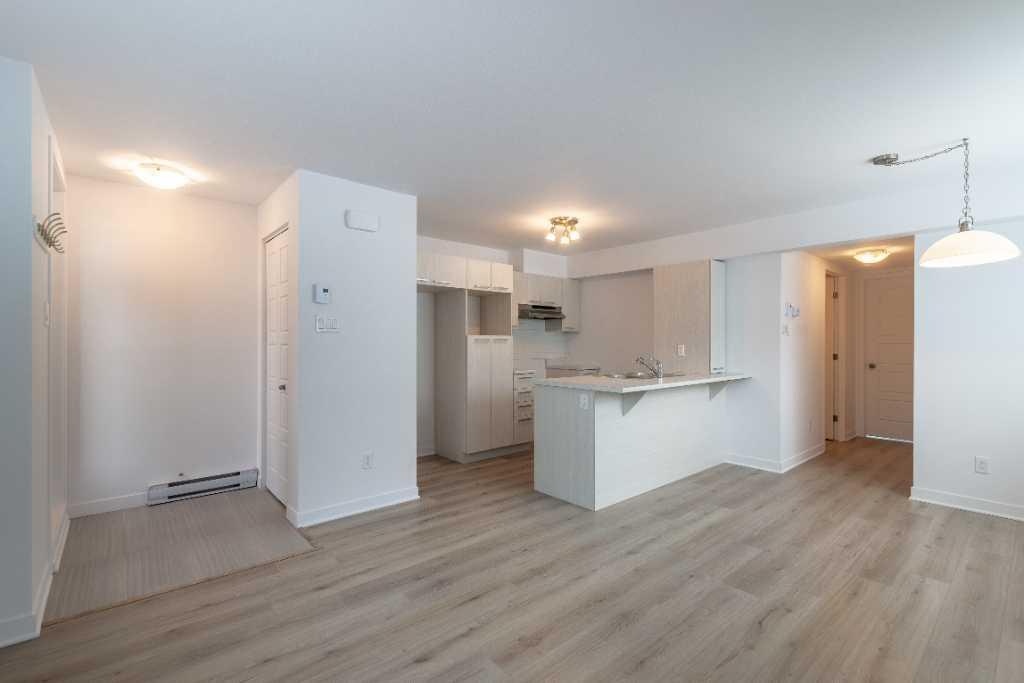 Logement 3 1/2 - Novembre 2025
