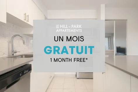 1 room apartment of 47m² in Montreal
