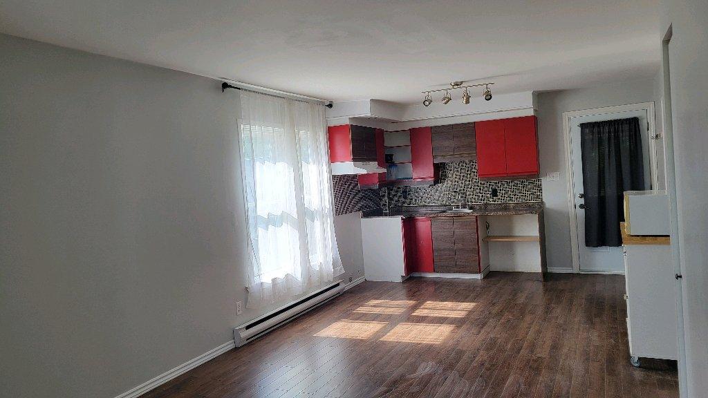 Appartement 4 demi à louer