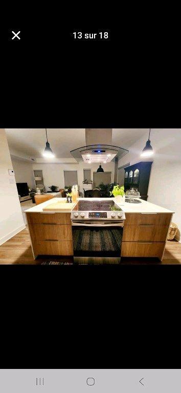 grand 5 1/2 tout inclus condo locatif