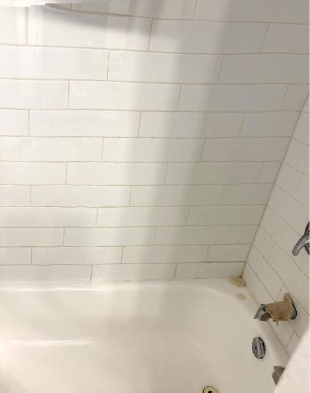 1 CH - 1 SDB - Gatineau - $1,445 /mo