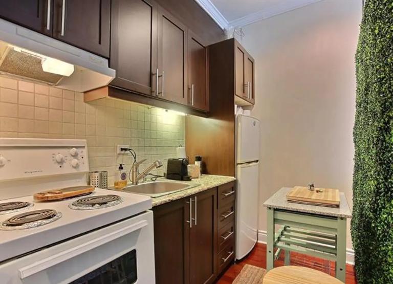 MAGNIFIQUE APPARTEMENT 3 1/2