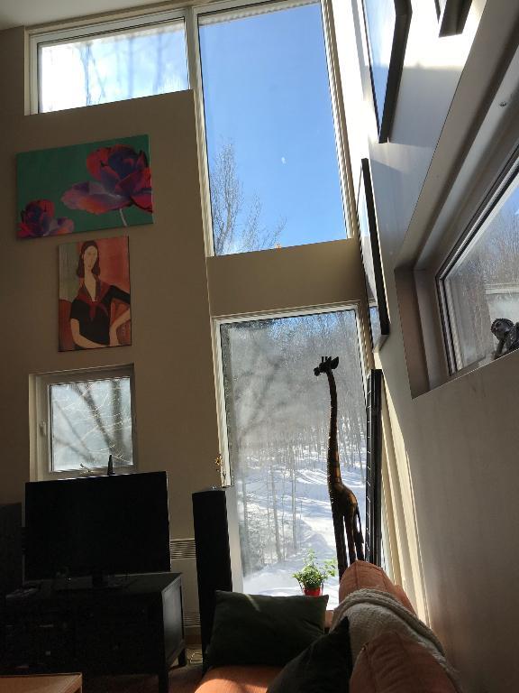 Grand, Mezzanine et Toit-Terrasse Morin Heights