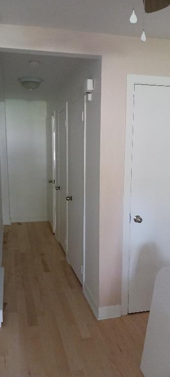 Logement à louer 3 1/2