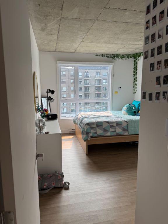 ***CESSION DE BAIL - RABAIS 3 PREMIERS MOIS***