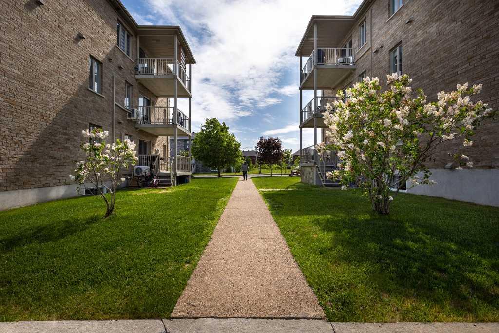 4 1/2 à louer Lévis centre-ville