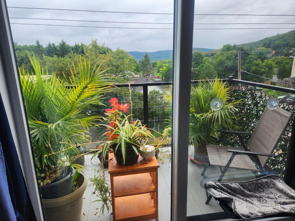 Grand 5 1/2 Sainte-Adèle Dernier étage