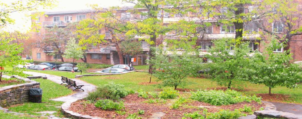 GRAND 4 1/2 PLACE DARLINGTON CARTIER Côte-des-Neiges