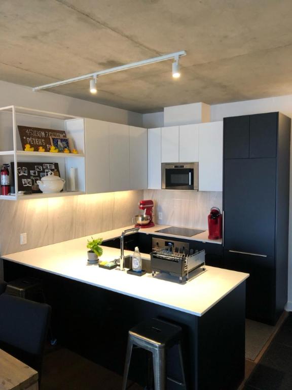 3 1/2 - Montréal (Ville-Marie (Centre-ville)) - 1 700 $/mois