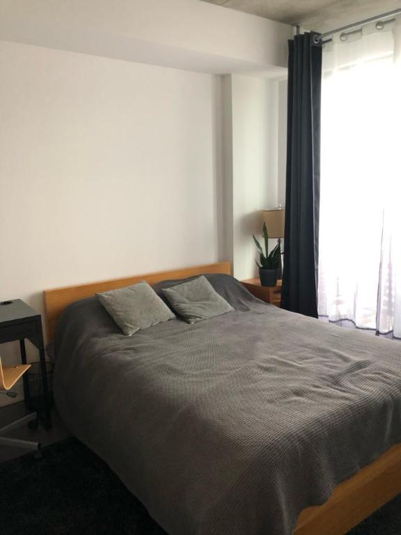 3 1/2 - Montréal (Ville-Marie (Centre-ville)) - 1 700 $/mois