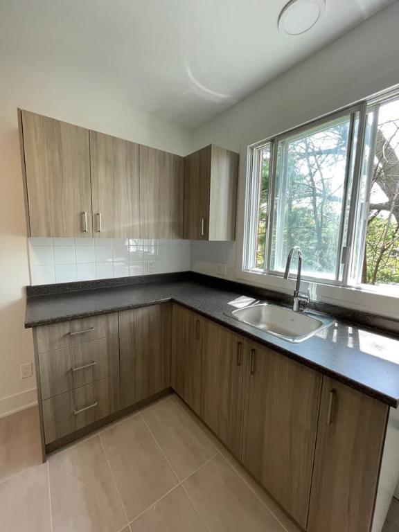 4-1/2 insonorisé libre maintenant chien accepté