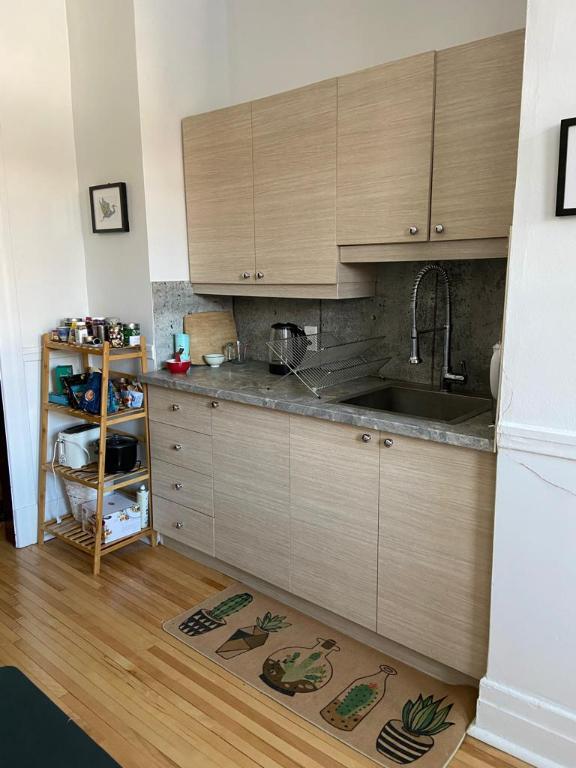 1 chambre double sur le Plateau - électros inclus