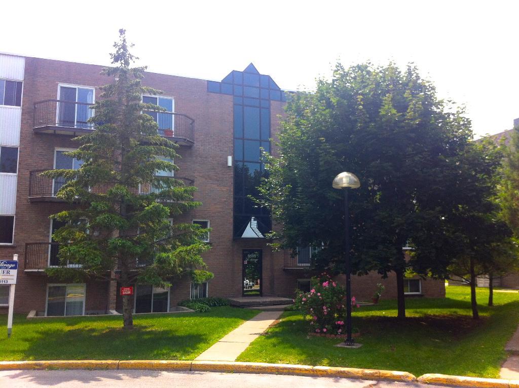 1 1/2 libre maintenant à Sainte-Catherine (Rive-Sud de Mtl)