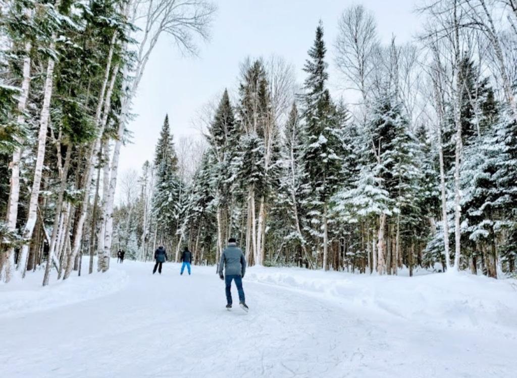 À louer – Magnifique 4 ½ neuf à Saint-Donat