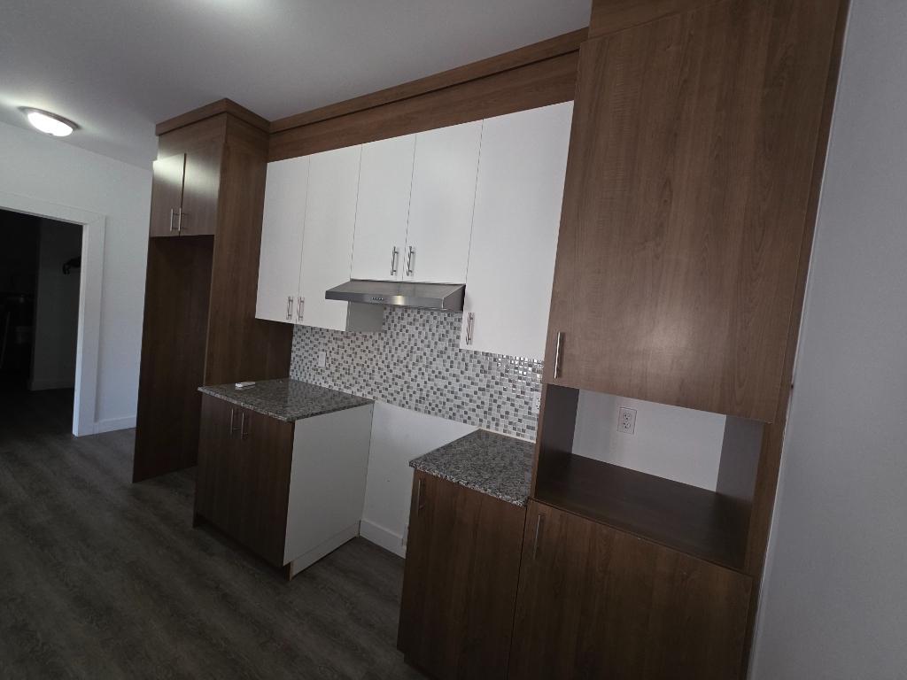 Projet Baie Jolie Bord Du Fleuve 4 1/2 Disponible Immediatement