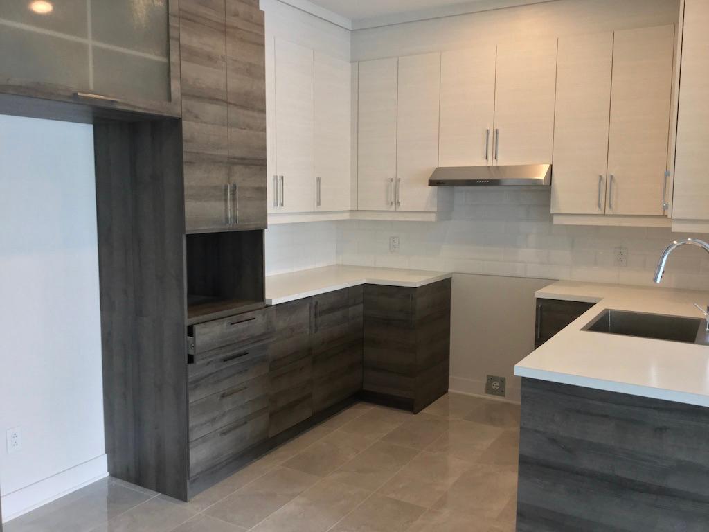 App/condo 4 1/2 Mercier Hochelaga Maisonneuve (Tétreaultville)