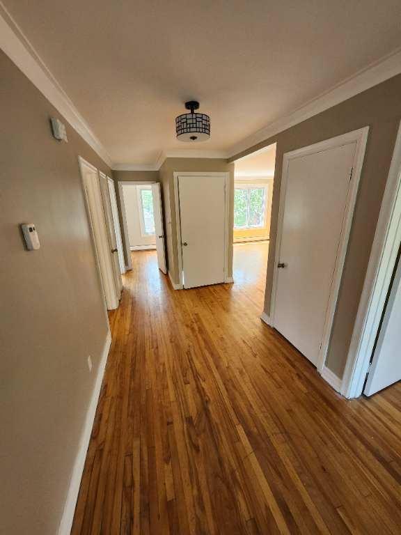Appartement a Louer 5 1/2 (Montreal)