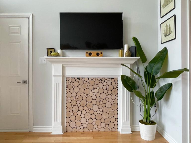 3 1/2 - Montréal (Le Plateau Mont-Royal) - 1 900 $/mois