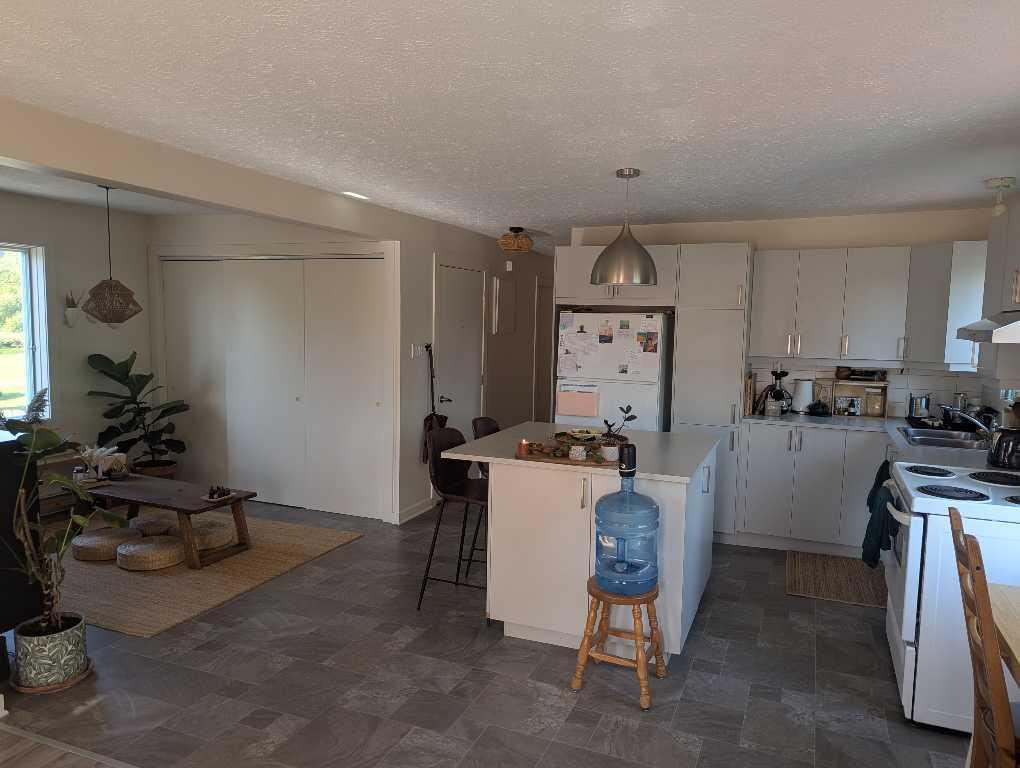 Colocation 🌞 Lumineuse et Joyeuse ! 5 1/2 Sutton