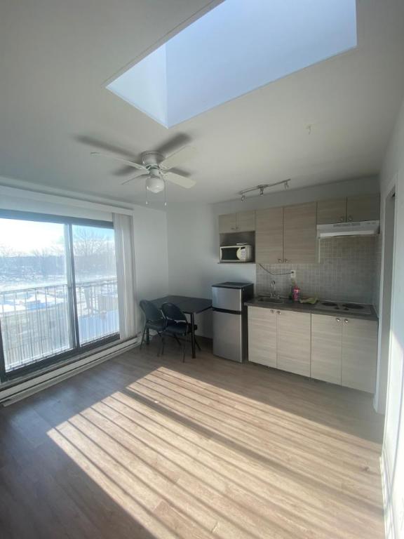 1 1/2 - Montréal (La Petite-Patrie) - 950 $/mois