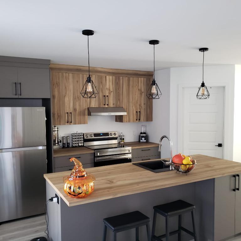 Appart, style CONDO, avec garage à louer 3R