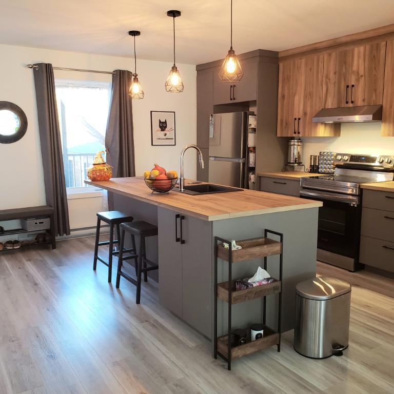 Appart, style CONDO, avec garage à louer 3R