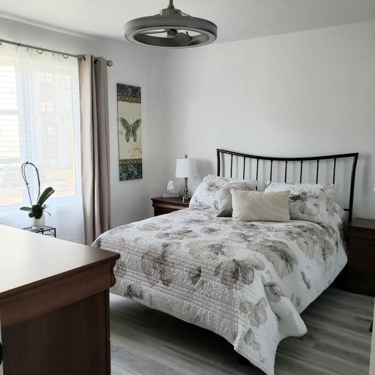 Appart, style CONDO, avec garage à louer 3R