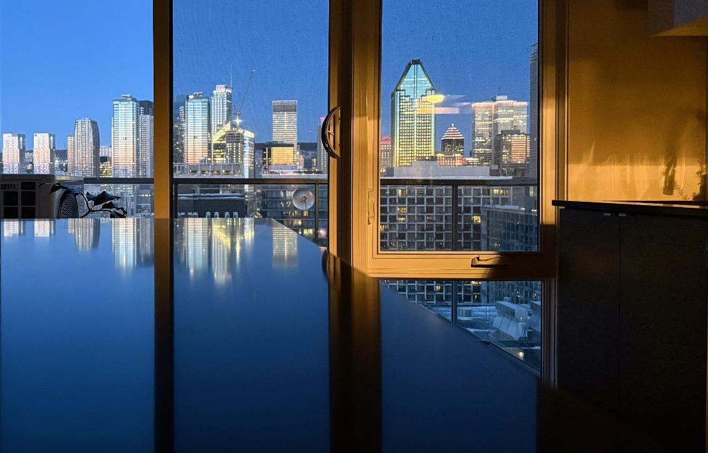 Looking for the best city view? This is it. 4.5 in Griffintown