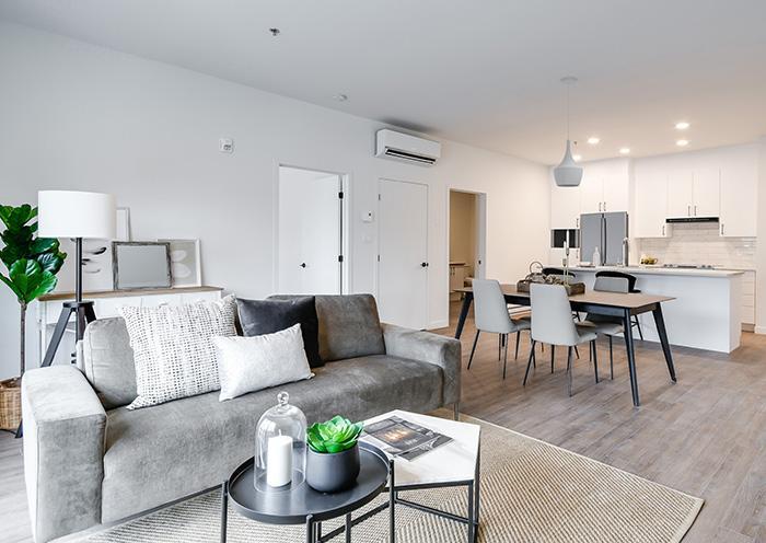 Grand 5 1/2 premier mois novembre à 1518$ droit aux animaux