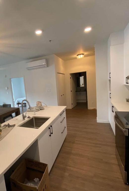 Grand 5 1/2 premier mois novembre à 1518$ droit aux animaux