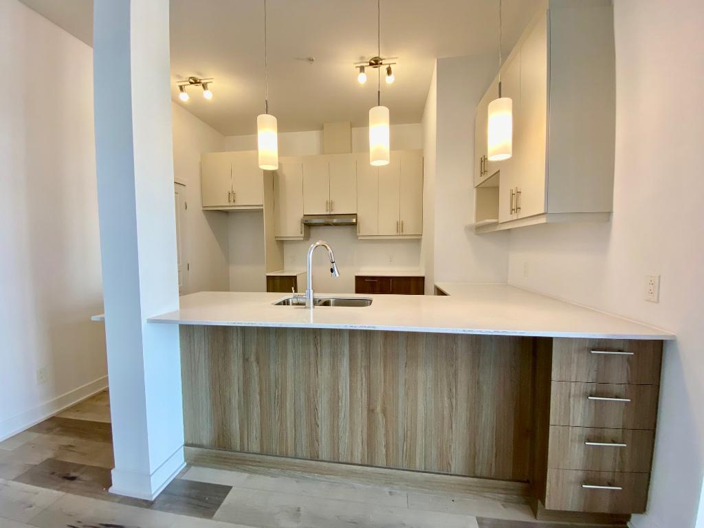 Longueuil 4 1/2 spacieux 1051 pi ca