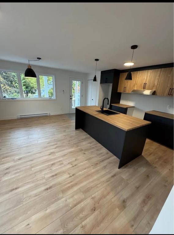 Tres bel appartement 2 chambres et 1 salle de bain