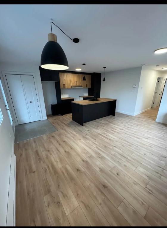 Tres bel appartement 2 chambres et 1 salle de bain