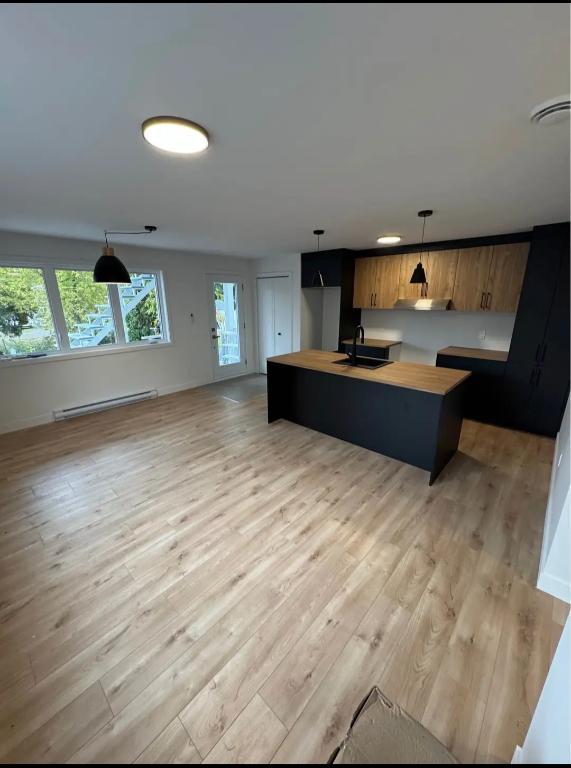 Tres bel appartement 2 chambres et 1 salle de bain