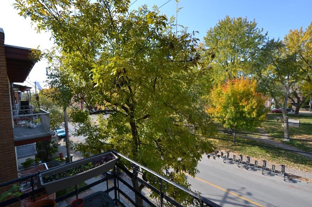 4 1/2 à louer Montréal