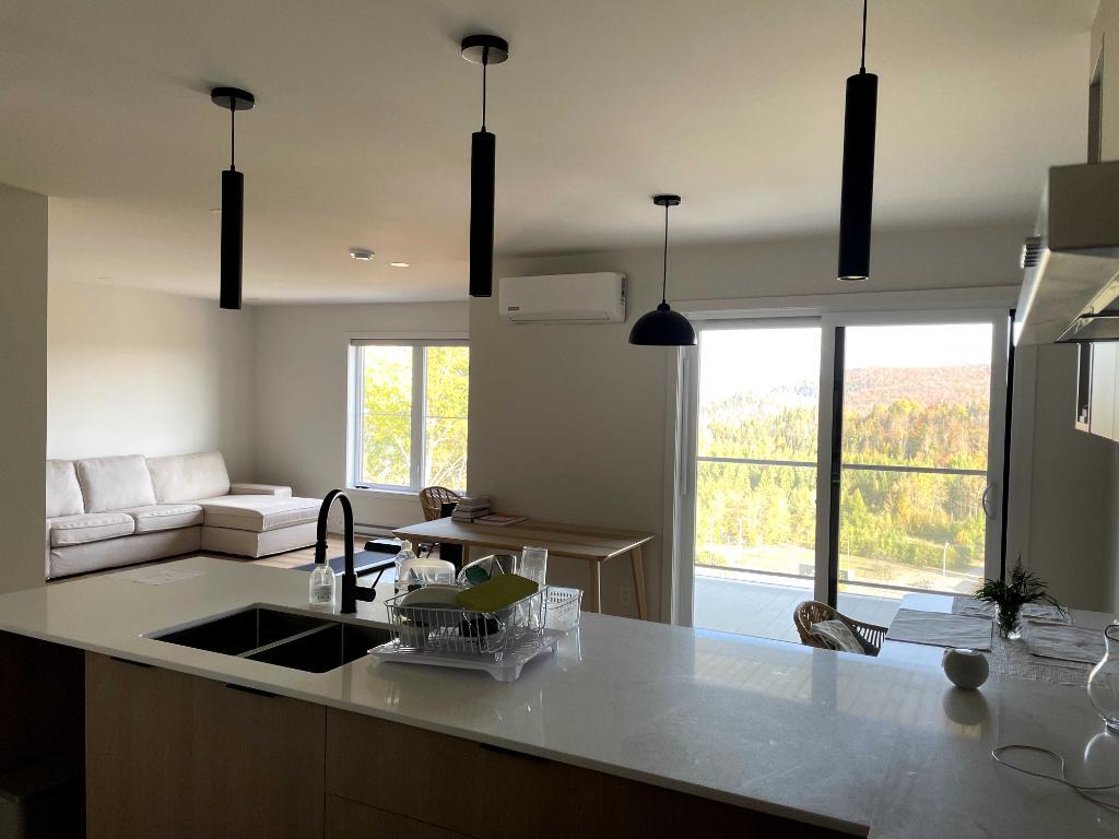 4 et demi quasi neuf à louer à Sainte-Agathe-des-Monts